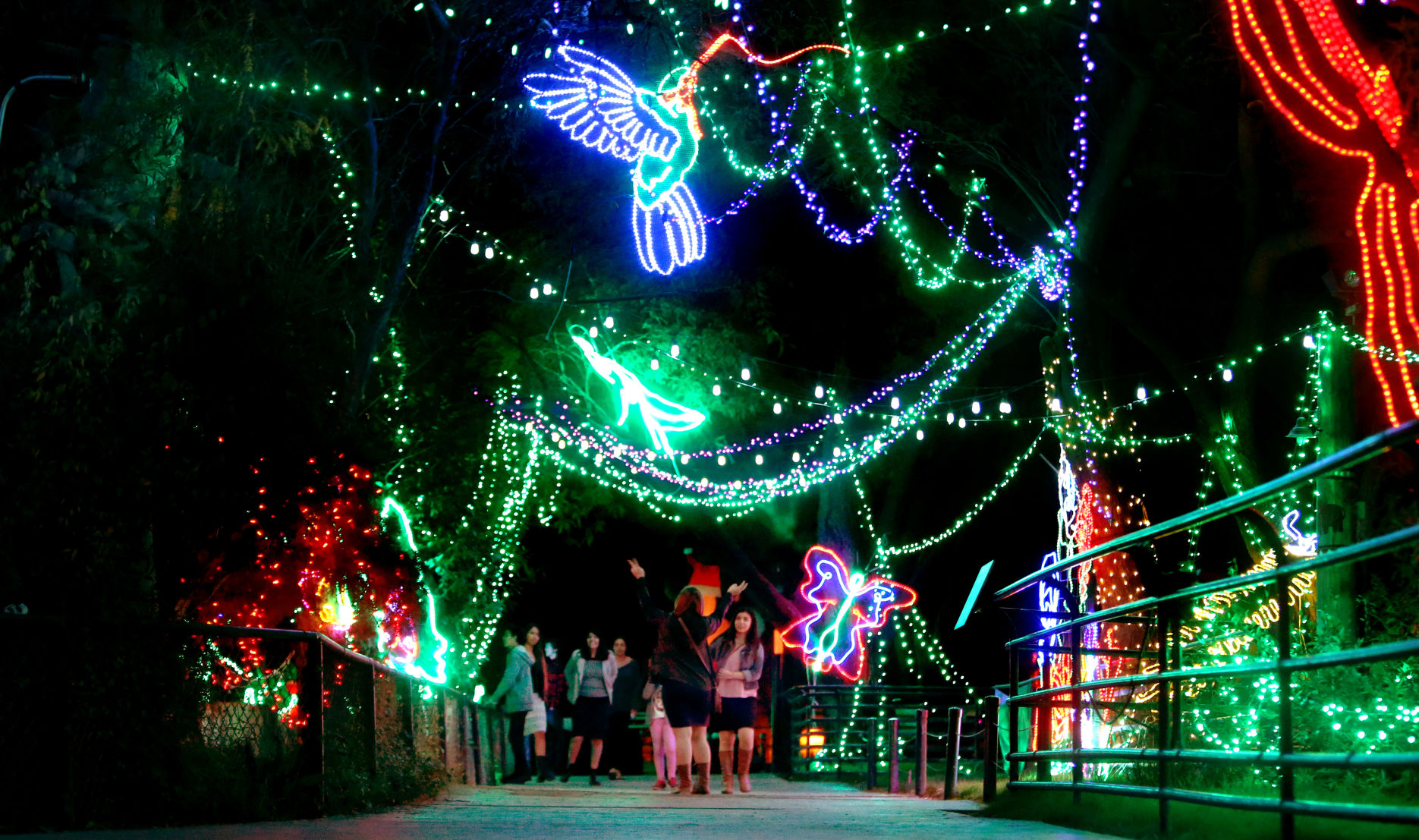 Zoo Lights